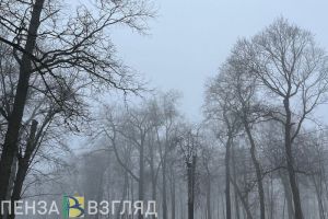На Пензенскую область в ближайшие часы опустится туман