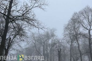 Густой туман прогнозируют синоптики в Пензенской области 16 декабря