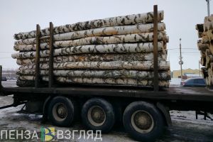 В Пензенской области подвели итоги операции «Лесовоз»