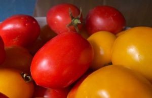 Что портит еду в вашем холодильнике: 7 запрещенных соседств продуктов