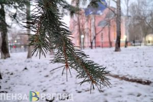 Пензенские медики напомнили алгоритм первой помощи при обморожении