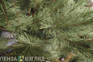 Выбираем елку и новогодние украшения: советы эксперта
