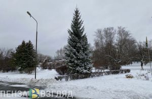 4 января пензенцев ждет штормовой ветер и снег