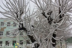 В Пензенской области за сутки выпало до 100% декадной нормы снега