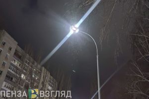 Власти Пензенской области заявили о 5 сбитых ночью 6 января БПЛА