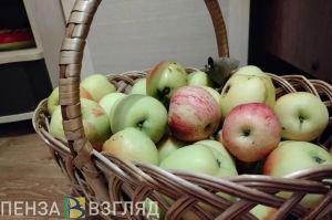 На развитие садоводства в Пензенской области за год направили 61,5 млн рублей