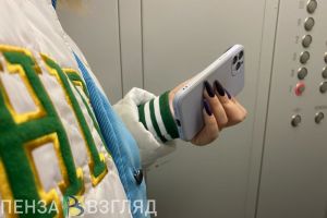 Мошенники пытаются похитить данные пензенцев под видом сотрудников мэрии