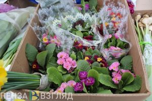 В декабре из Пензенской области экспортировали 278 тысяч цветов