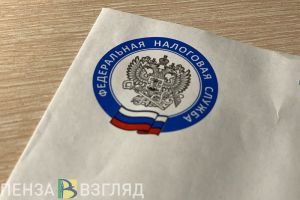 В Пензенской области стартовала декларационная кампания-2026