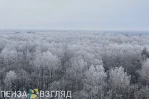 В Пензенской области перед Крещением усилятся морозы