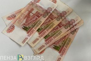 Шесть НКО из Пензенской области получили президентские гранты