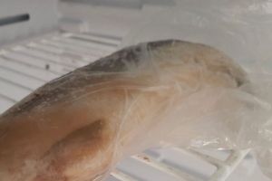 Рыба тает за минуты и не теряет вкус: секрет правильной разморозки из СССР