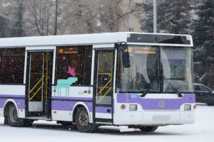 Автобусный маршрут №102 «Заречный - ПГУ» возобновит работу с 26 января