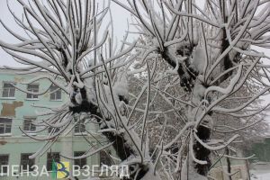 Жителей Пензенской области 3 февраля ждут аномальные холода