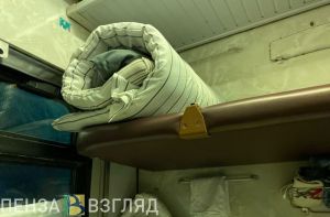 Названы причины задержки двух следовавших в Пензу поездов