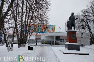 Пензенцы просят сделать занятия в колледжах дистанционными в связи с морозами