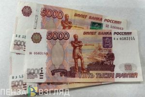 Беременным пензячкам предложили выплачивать единое пособие в сумме МРОТ