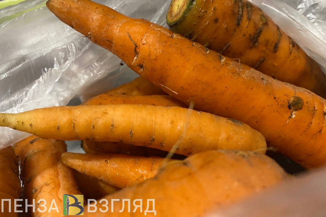 За неделю в России подорожали огурцы, морковь и картофель