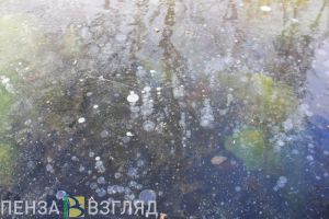 Ледяной дождь, утечка на инженерных сетях, сбили подростка – новости Пензы и области за 14 февраля