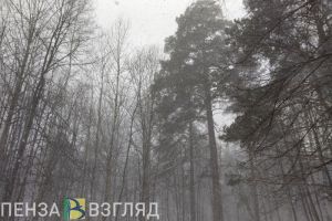 Опубликован прогноз погоды на 16 февраля в Пензенской области
