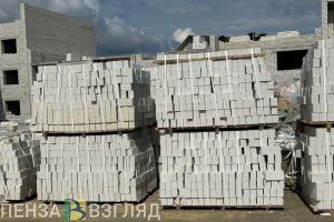 Пензенцы узнали, что построят на месте бывшей школы № 25 на Южной Поляне