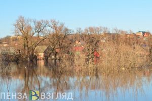 Жителям Пензенской области в прямом эфире расскажут о предстоящем паводке