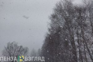 В Пензенской области 23 февраля объявлен желтый уровень погодной опасности
