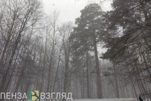 Пензенцев предупредили о циклоническом вихре в центре России