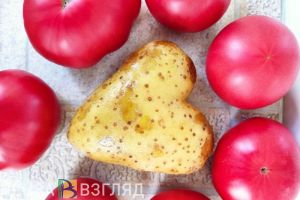 В Пензенской области цены на картофель ниже, чем в других регионах РФ