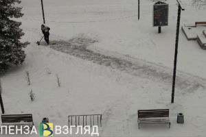 В Кузнецке усилят контроль за уборкой снега и займутся аварийными деревьями