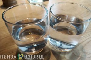 ФАС проверит, навязывают ли жителям Пензы и области «специальные» счетчики воды