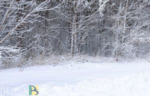 В выходные в Пензенской области выявили нарушения правил охоты
