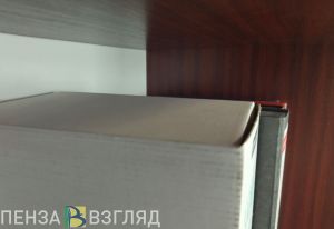 Олег Световой проведет прием жителей Камешкирского района