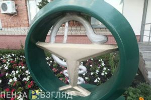 В Пензенской области создадут движение «За медицину здорового долголетия»