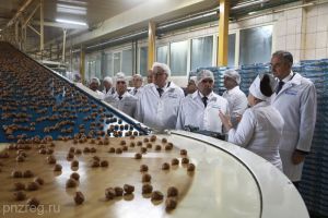 Давлатали Саид высоко оценил работу пензенских промышленных предприятий