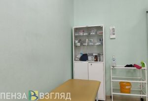 Мишустин отметил в отчете модернизацию здравоохранения Пензенской области