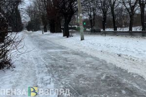 В пензенской Думе раскритиковали работу коммунальщиков во время гололеда