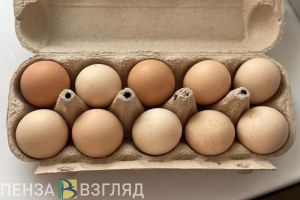 На молочных кухнях в Пензе заменят диетические яйца на столовые