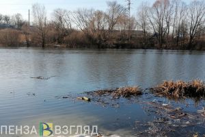 В Пензенской области назвали суммы компенсаций для пострадавших при паводке