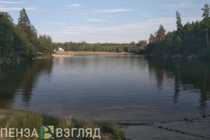 В Заречном обсудят идеи благоустройства зоны отдыха «Лесная»