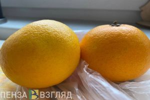 Пензенский врач назвала способы поддержать иммунитет после зимы