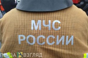 В Сосновоборском районе при пожаре пострадали 2 человека