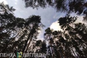 В Пензенской области ввели режим «Беспилотная опасность» и план «Ковер»