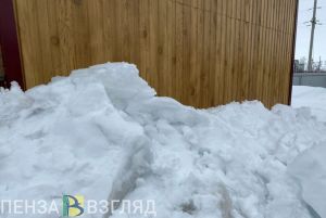 Мощный сход снега на ул. Циолковского в Пензе попал на видео