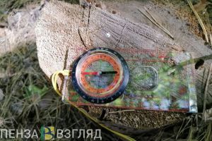 В феврале 2026 года в Пензенской области пропали 23 человека