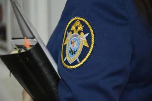 Бастрыкину доложат по делу о травмировании подростка наледью в Пензе
