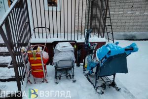 В Пензенской области стартовал проект «Дети в семье. Регион 58»