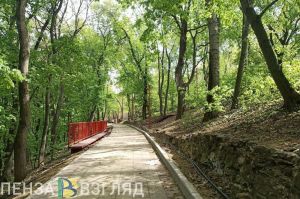 В Пензе на борьбу с клещами в парках выделили почти 4 миллиона рублей
