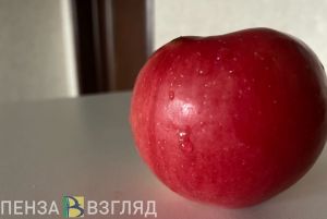 В центрах здоровья Пензенской области провели акцию «Ничего лишнего»