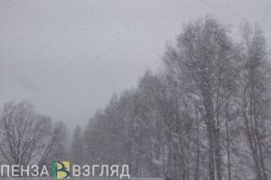 Жителей Пензенской области экстренно предупредили об ухудшении погоды